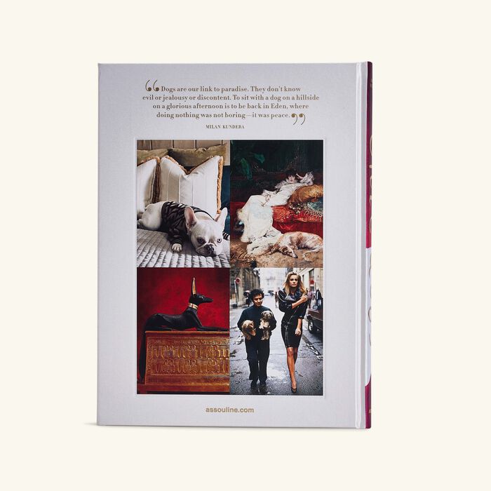assouline chic dogs book 33x25cm
