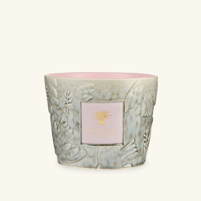 baobab collection colombe candles max 10