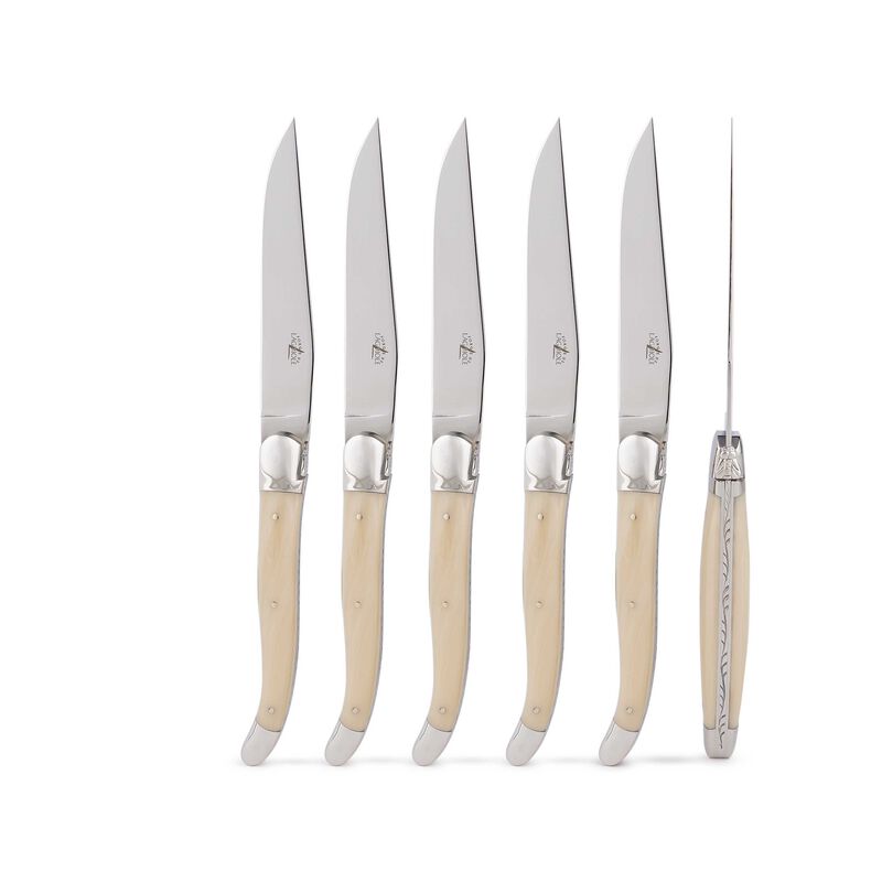 Set of 6 - Acrylic Handle Table Knives, large