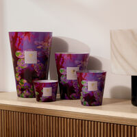 baobab collection water lily candles max 16