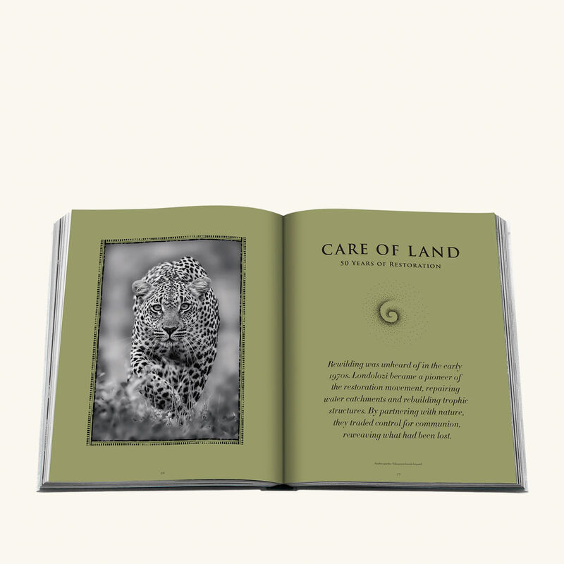 Londolozi The Safari That Changed Everything Book 30x24cm assouline londolozi the safari that changed everything book 30x24cm