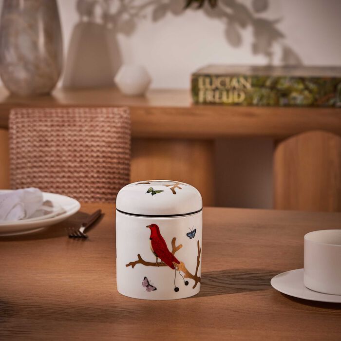 bernardaud aux oiseaux box white