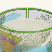 باوباب شمعة سيتيز سنغافورة ماكسي ماكس