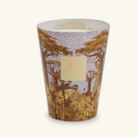 Sacred Trees Cocody Candle Max 24 baobab collection sacred trees cocody candle max 24