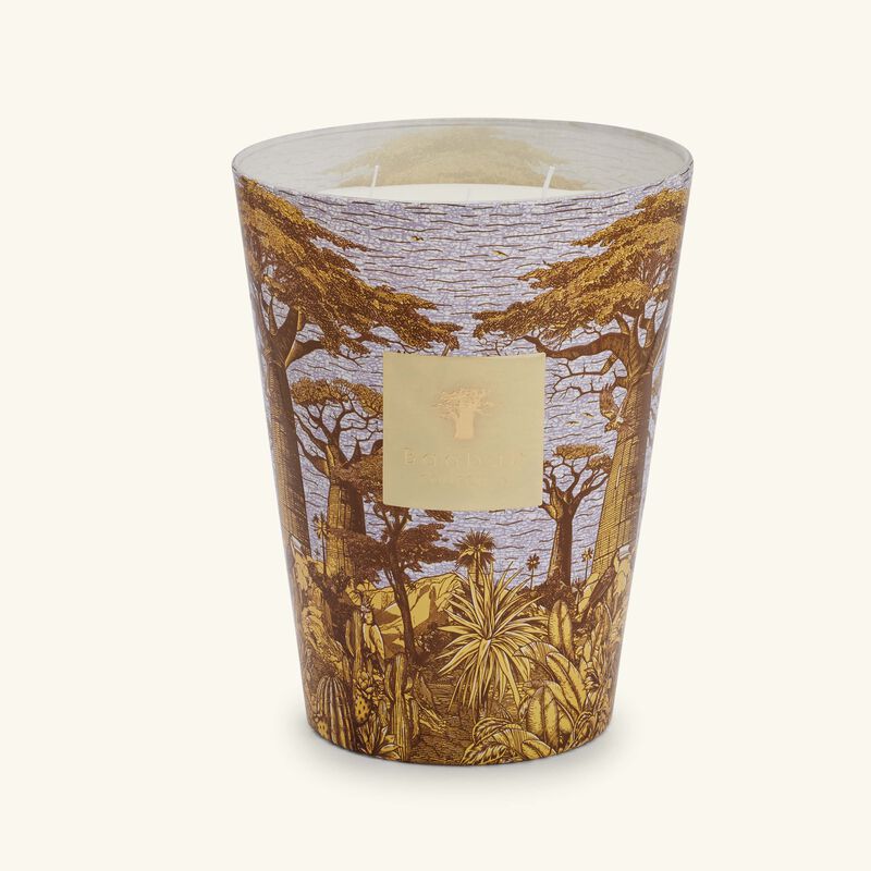 Sacred Trees Cocody Candle Max 24 baobab collection sacred trees cocody candle max 24