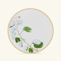 bernardaud jardin indien coffee cup   saucer green