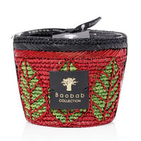 baobab collection hazo noely