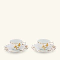 bernardaud v g tal or coffee cup   saucer gold set of 2