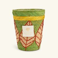 Ravintsara Ravina Candle Max 24 baobab collection ravintsara ravina candle max 24
