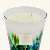 baobab collection rainforest amazonia candle max 16