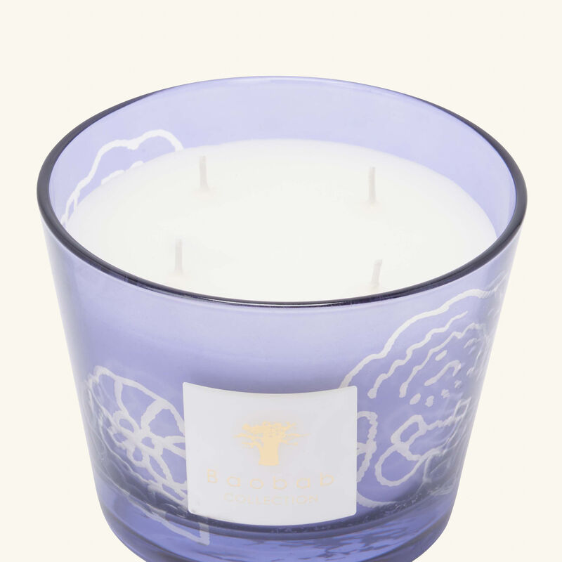 Collectible Roses Dark Parma Candle Max 10 baobab collection collectible roses dark parma candle max 10