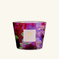 Water Lily Candles Max 10 baobab collection water lily candles max 10