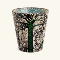 baobab collection sacred trees kani candle max 16