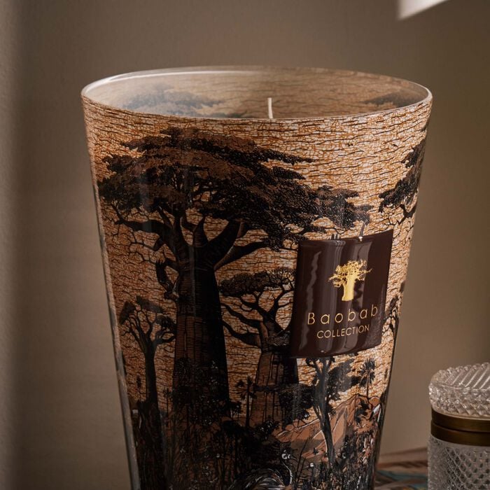 baobab collection sacred trees mankono candle max 24