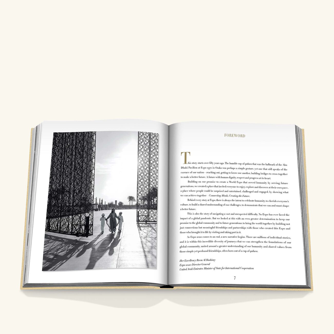 assouline expo 2020 dubai the definitive edition book 47x40cm