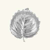 buccellati hazelnut leaf bowl medium silver