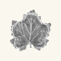 Vine Leaf Bowl Mini buccellati vine leaf bowl mini