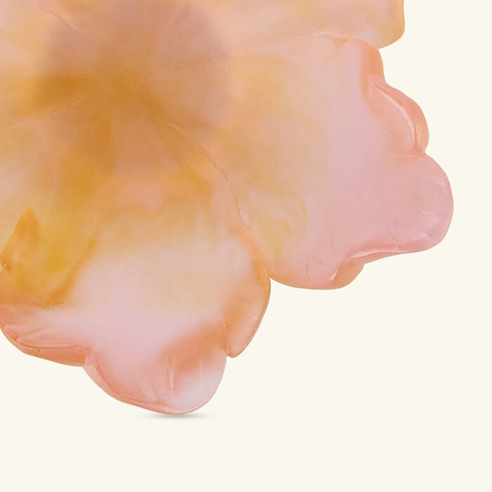 Tulipe Centerpiece Amber Pink Small Limited Edition daum tulipe centerpiece amber pink small limited edition