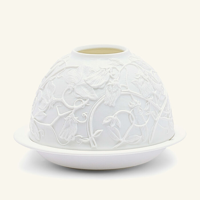 برناردو مصباح ليثوفاني سويت بيز