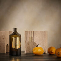 ترودون بخاخ تعطير الغرف إرنستو 375 مل