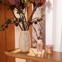 My First Baobab Paris Gift Box baobab collection my first baobab paris gift box