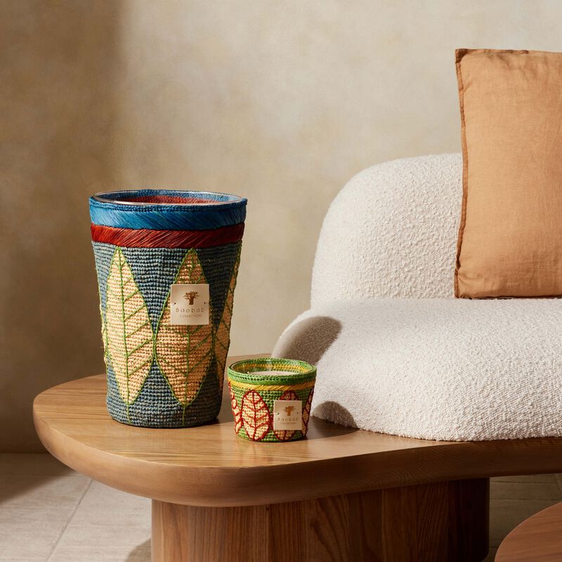 baobab collection ravintsara manga candle maxi max