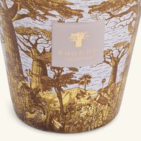 baobab collection sacred trees boukani candle max 16