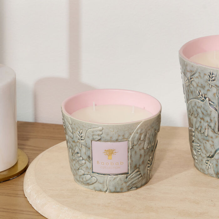 baobab collection colombe candles max 10