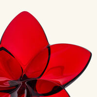 باكارا منحوتة ذا بلوم صغيرة حمراء