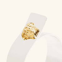 فيرساتشي طقم حلقات مناديل المائدة ميدوزا من 4 قطع مطلي بالفضة