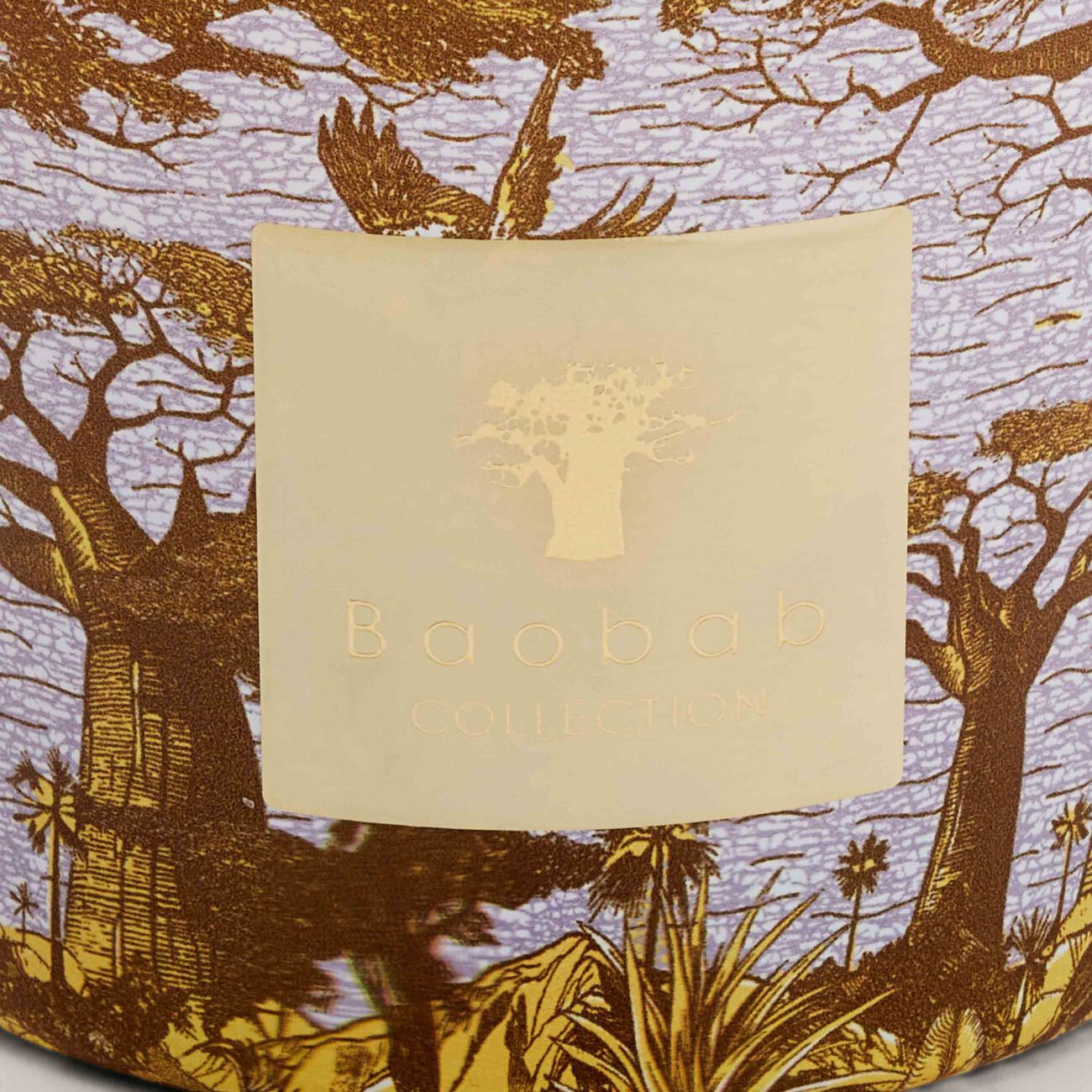 baobab collection sacred trees cocody candle max 10