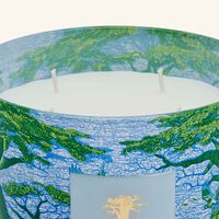 baobab collection sacred trees yarani candle max 10