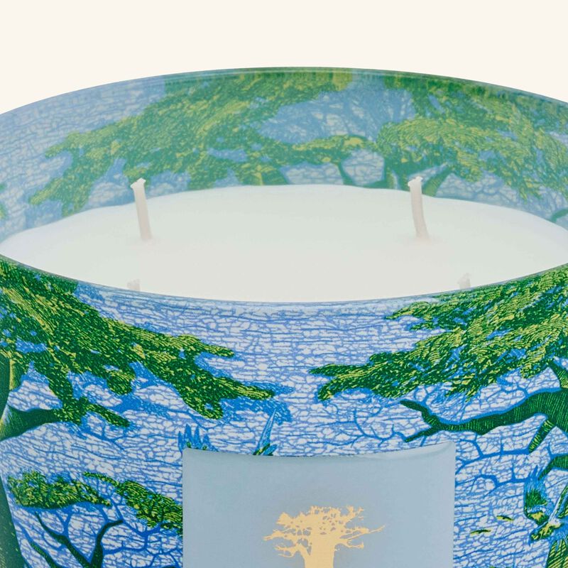 baobab collection sacred trees yarani candle max 10