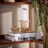 لاليك صندوق فايبريشن باللون الذهبي