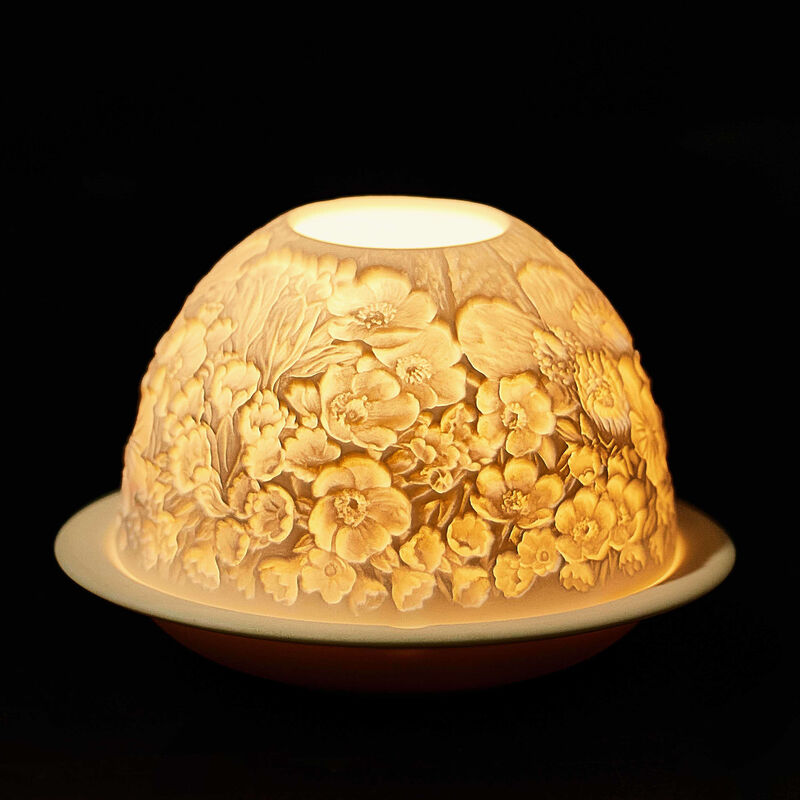 برناردو مصباح ليثوفاني وايلد فلاورز