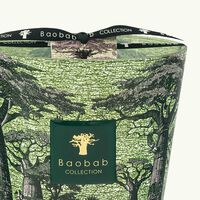 baobab collection sacred trees touba candle max 16