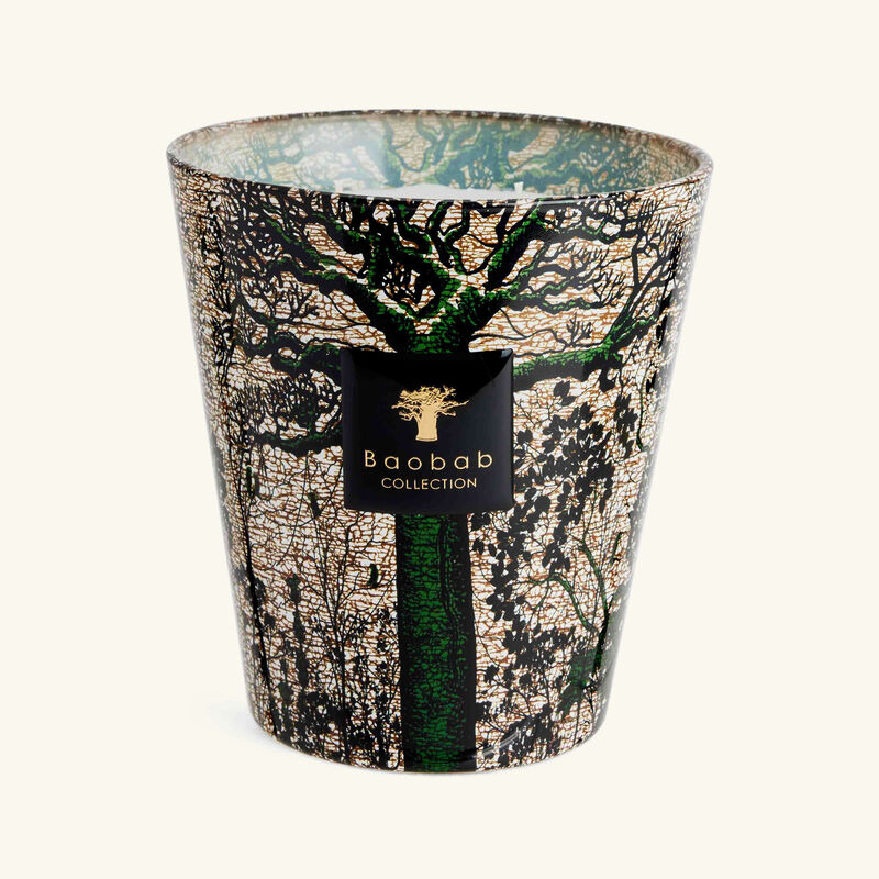 baobab collection sacred trees kani candle max 16