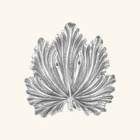 buccellati acanthus leaf bowl mini