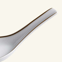 bernardaud sol chinese spoon
