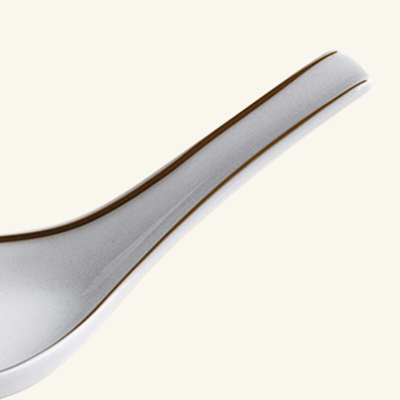 bernardaud sol chinese spoon
