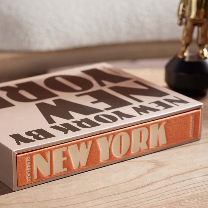 assouline new york by new york book 33x25cm