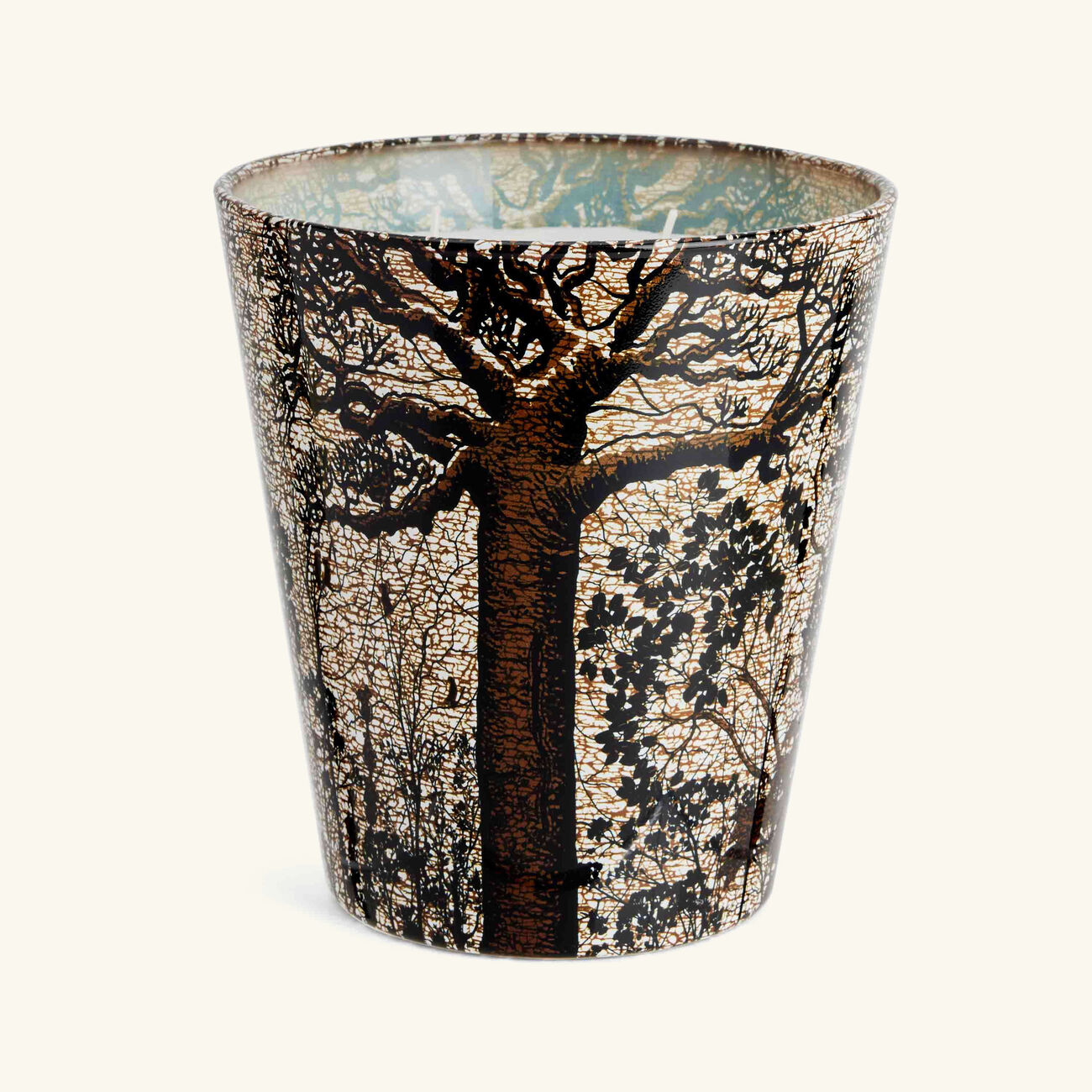 Sacred Trees Morondo Candle Max 16 baobab collection sacred trees morondo candle max 16