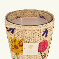 Ahitra Candles Max 16 baobab collection ahitra candles max 16