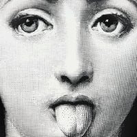Tema e Variazioni no.82 Wall Plate fornasetti tema e variazioni no 82 wall plate