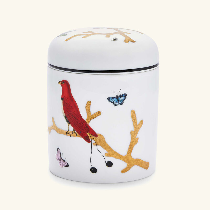 bernardaud aux oiseaux box white
