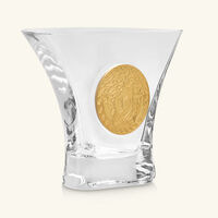 فيرساتشي مزهرية ميدوزا مادنس صغيرة شفافة