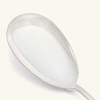 christofle malmaison rice ladle silver plated
