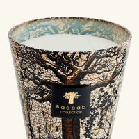 Sacred Trees Morondo Candle Max 16 baobab collection sacred trees morondo candle max 16