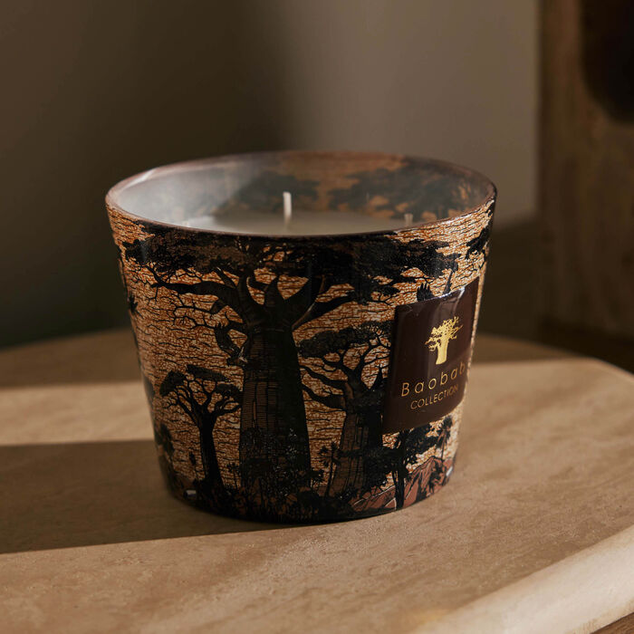 baobab collection sacred trees mankono candle max 10