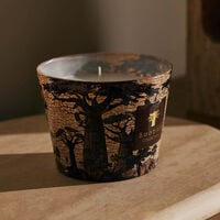 Sacred Trees Mankono Candle Max 10 baobab collection sacred trees mankono candle max 10